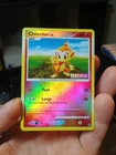 Chimchar
