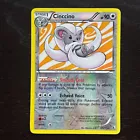 Cinccino