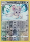 Cinccino