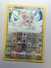 Cinccino