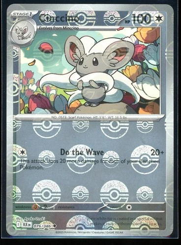 Cinccino