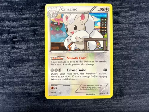 Cinccino