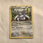 Cinccino