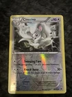 Cinccino