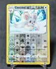 Cinccino