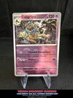 Cofagrigus