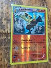 Combusken