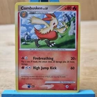 Combusken