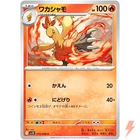 Combusken