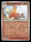 Combusken