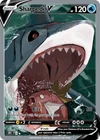 Sharpedo