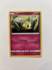 Cutiefly