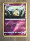 Cutiefly
