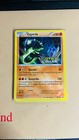 Zygarde