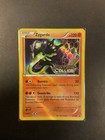 Zygarde