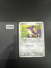 Rattata