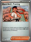 Black Belt's Training