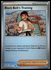 Black Belt's Training