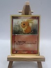 Torchic