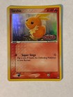 Torchic