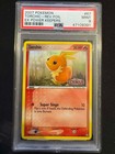 Torchic