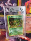 Caterpie
