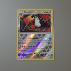 Toucannon