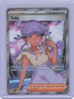 Tulip