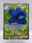 Glimmora ex