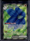 Glimmora ex
