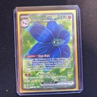 Glimmora ex