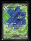 Glimmora ex