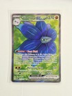 Glimmora ex