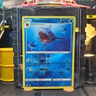 Sharpedo