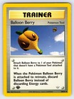 Balloon Berry