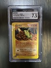 Larvitar