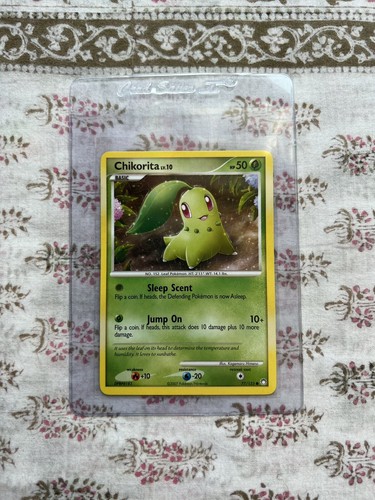 Chikorita