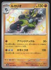 Lucario