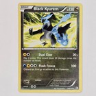 Black Kyurem