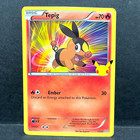 Tepig