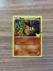 Tepig