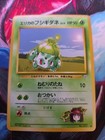 Erika's Bulbasaur