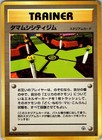 Celadon City Gym