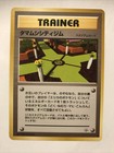 Celadon City Gym