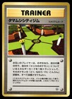 Celadon City Gym