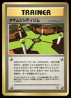 Celadon City Gym