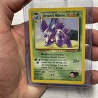 Giovanni's Nidorino