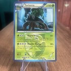 Torterra