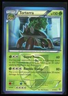 Torterra