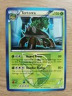 Torterra
